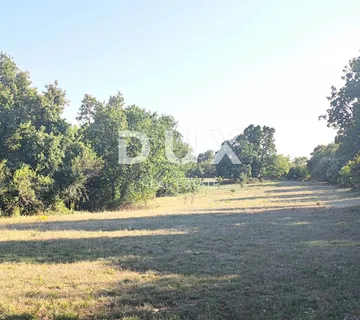 ISTRA, SVETVINČENAT Poljoprivredno zemljište za maslinik - cover