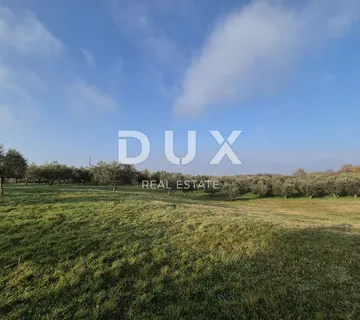 ISTRA, BUJE - Građevinsko zemljište na savršenoj lokaciji s pogledom na Buje - cover