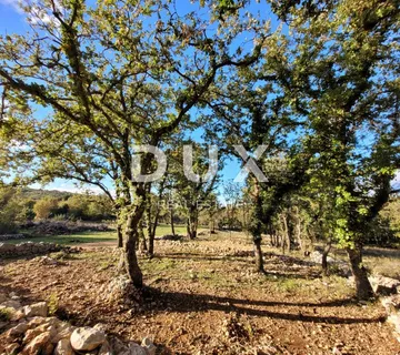 Otok Krk, Šilo -  Očišćeno, ravno poljoprivredno zemljište, buduće građevinsko, 600m do prekrasnih plaža, mora i supermarketa s pristupnim putem ! - cover
