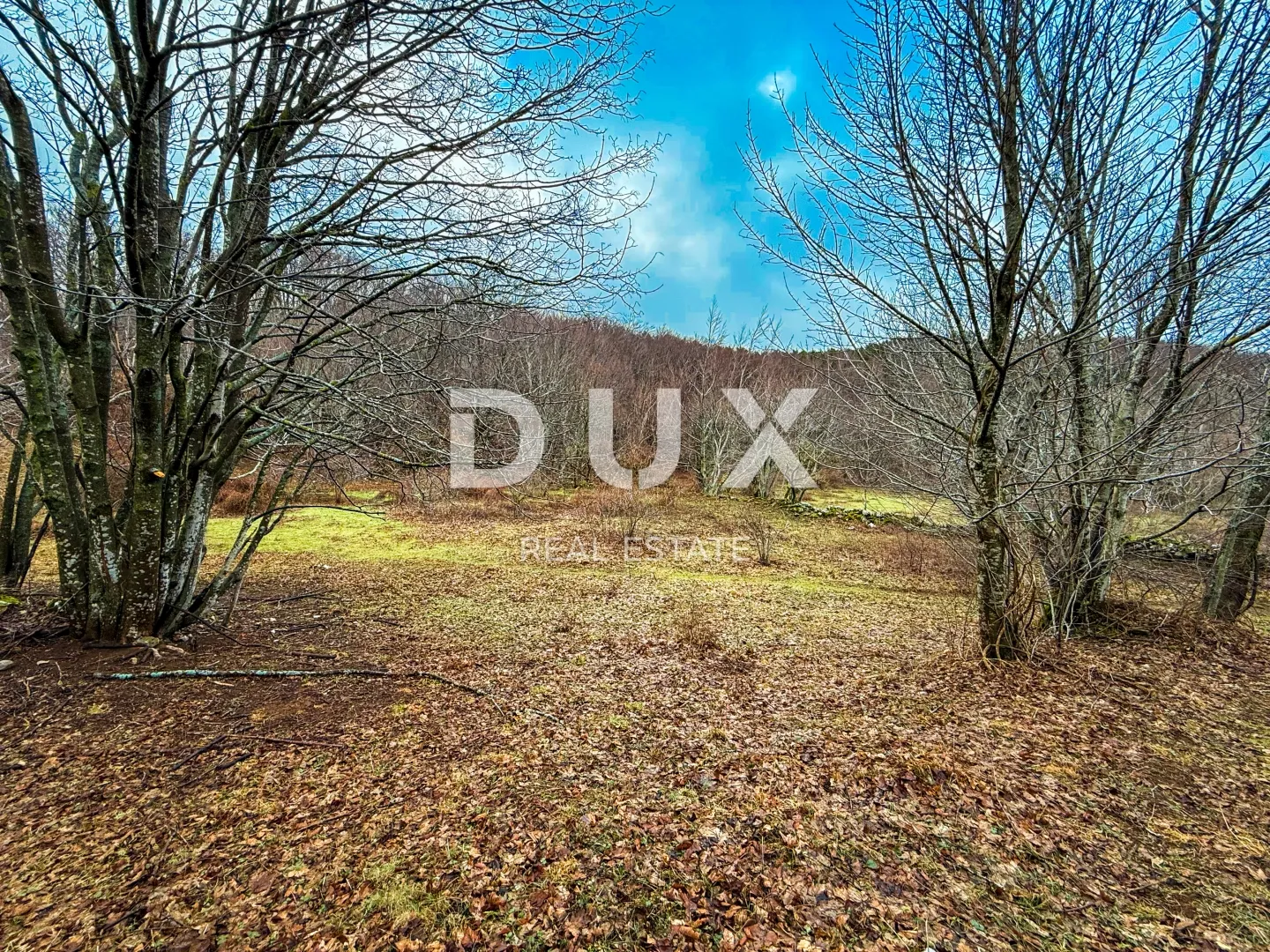 Fotografija