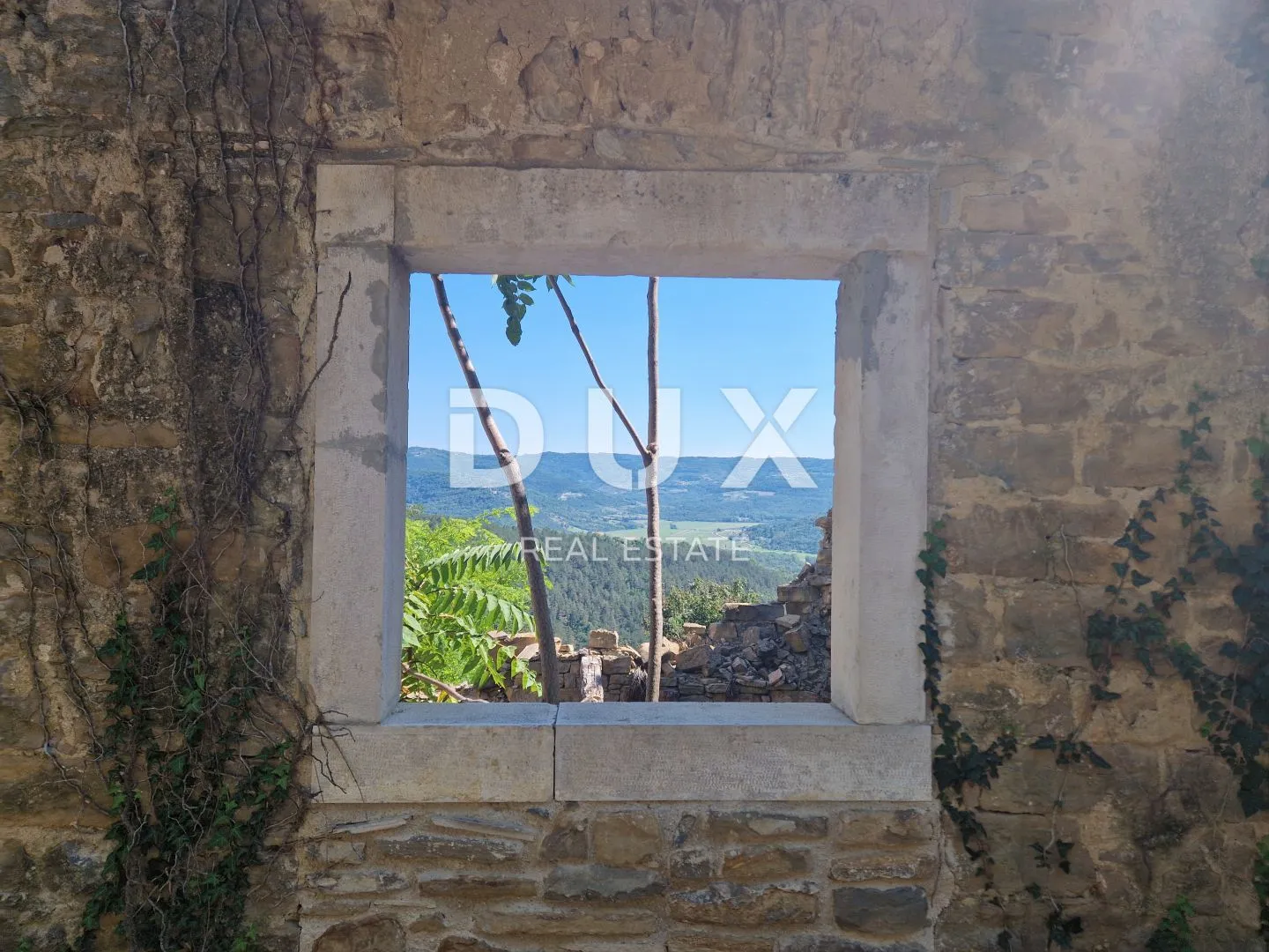 Fotografija