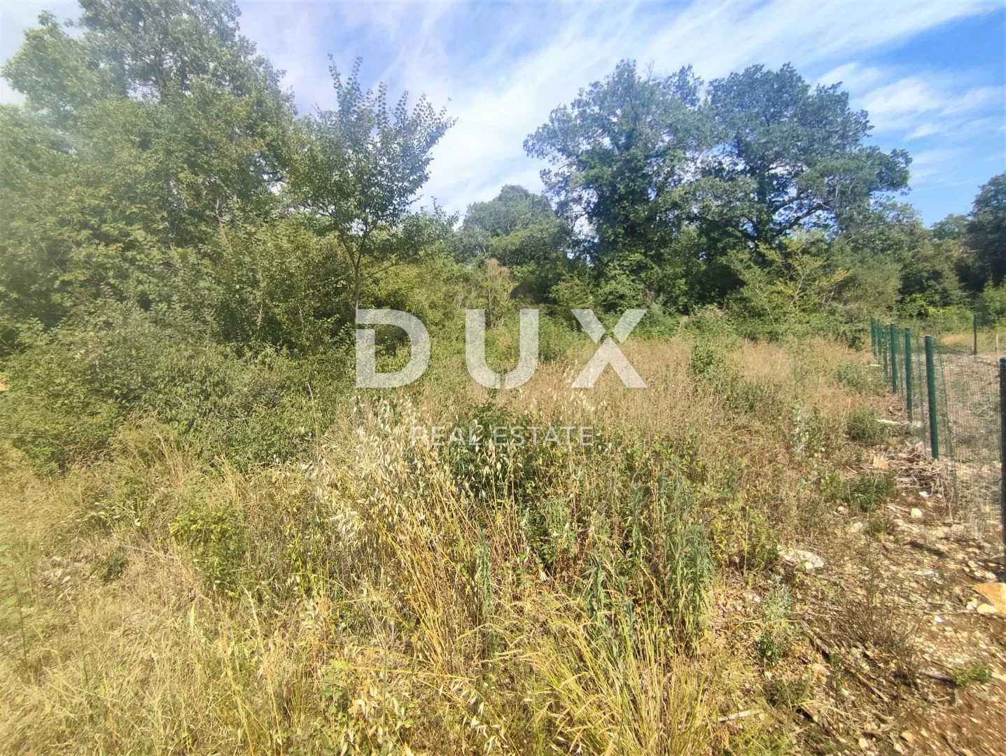 Fotografija