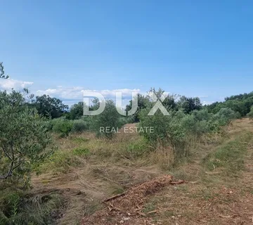 ISTRA, LABIN - Prostrano kombinirano zemljište na izvanrednoj lokaciji - cover