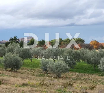 ISTRA, BUJE - Građevinsko zemljište s 3 strane okruženo poljoprivrednim zemljištima, otvoreni pogled - cover