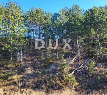 ISTRA, BUZET - Poljoprivredno zemljište - cover