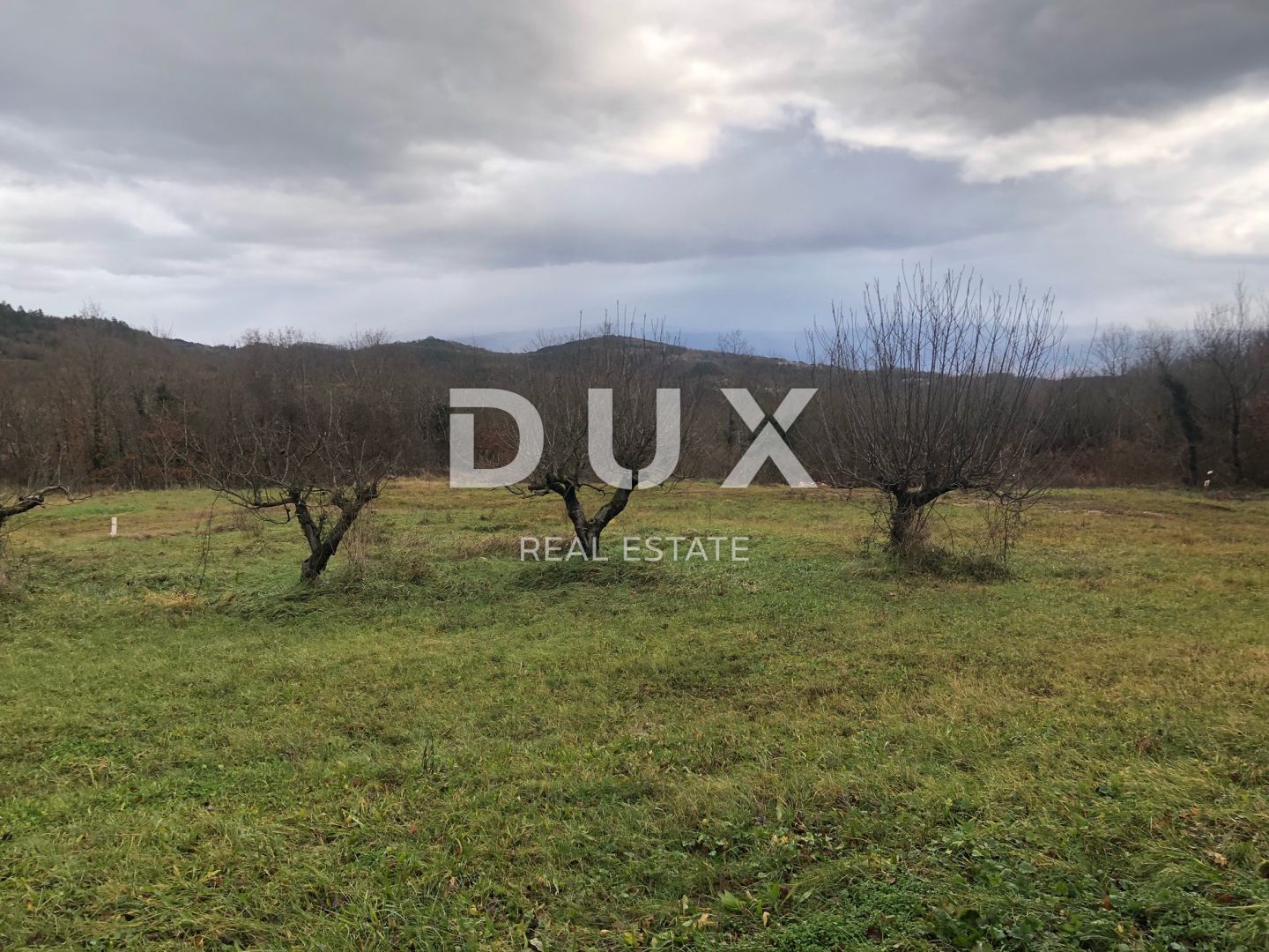 Fotografija