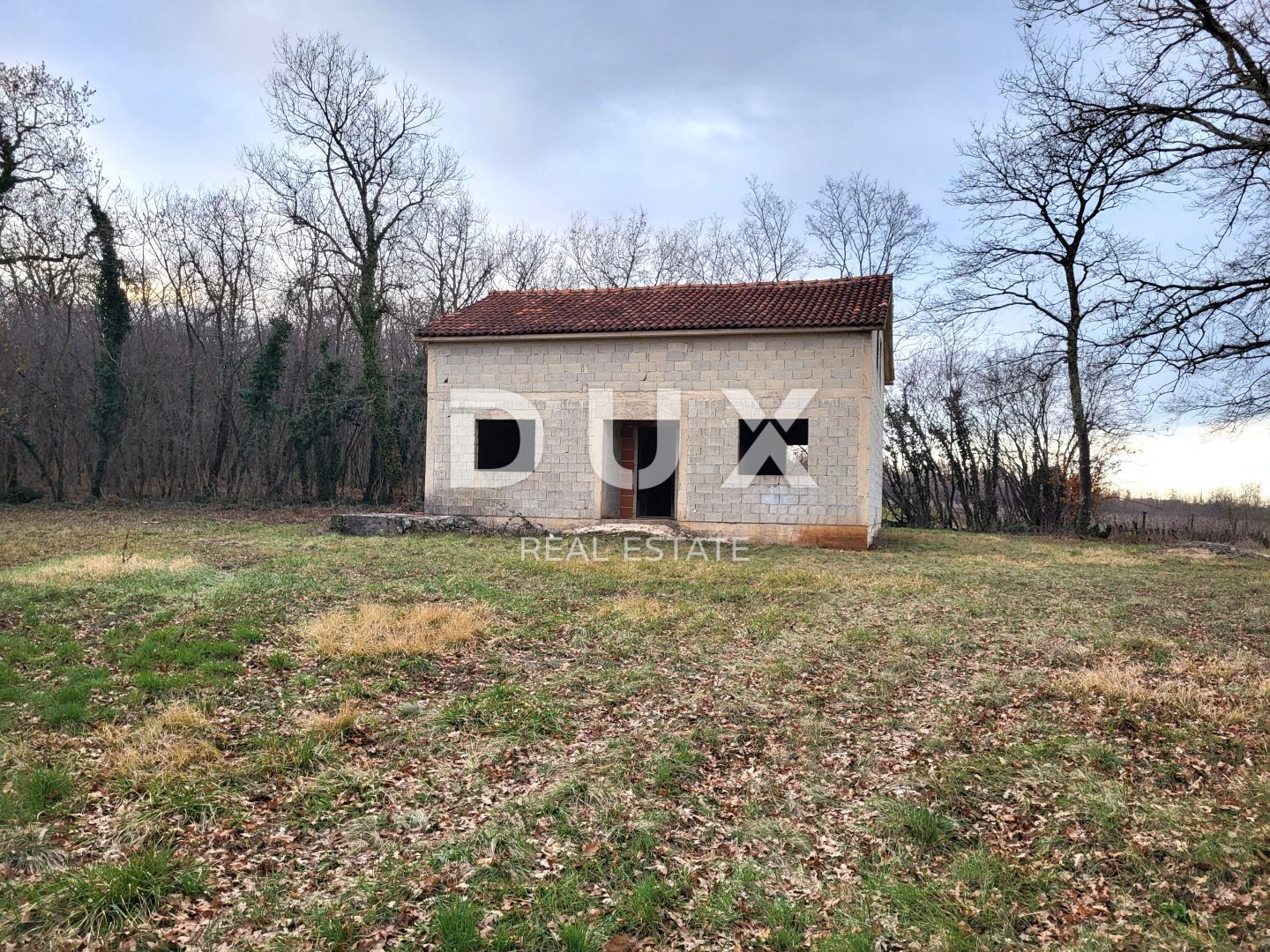 Fotografija