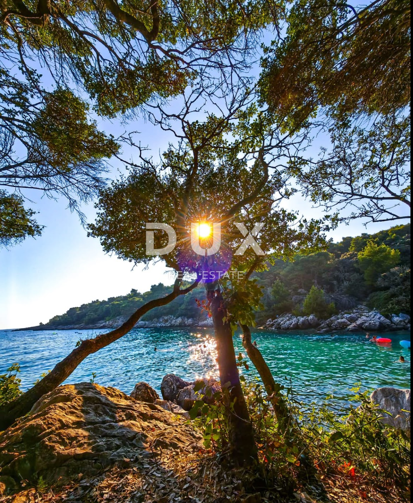 Fotografija
