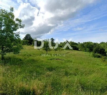 ISTRA, LABIN - Prostrano kombinirano zemljiše - cover