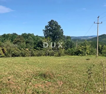 ISTRA, MOTOVUN - Zemljište s građevinskom dozvolom - cover