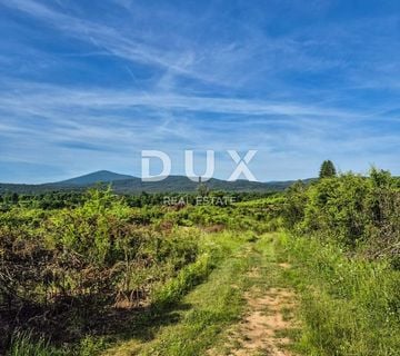 SLUNJ, TRŽIĆ- 77.083 m2 zemljišta s kućom, investicijska prilika - cover
