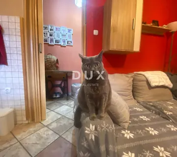 RIJEKA, KANTRIDA - stan 2S+DB u prizemlju s okućnicom - UDALJEN SAMO 120 METARA OD MORA! PRILIKA! - cover