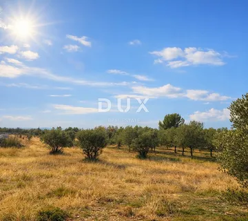 ISTRA, VODNJAN – Poljoprivredno zemljište - cover