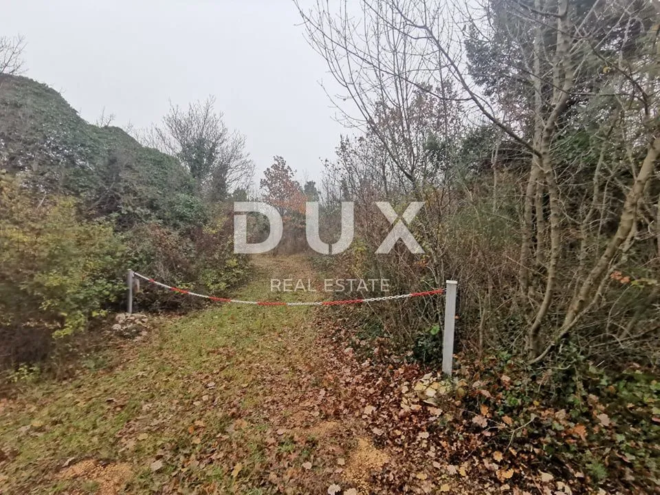 Fotografija