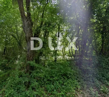 ISTRA, LABIN - Šuma u okolici grada - cover