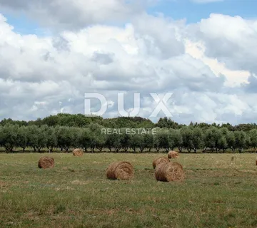 ISTRA - Super atraktivan građevinski teren, 16.000 m2 - cover