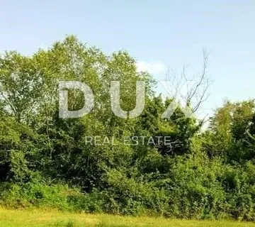 ISTRA, BUZET - Prostrano poljoprivredno zemljište - cover