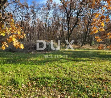 ISTRA, UMAG - Kompleks građevinskog i poljoprivrednog zemljišta s ucrtanim objektom - cover