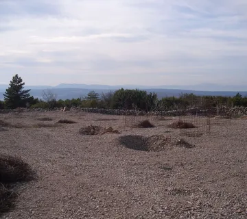 OTOK KRK, PUNAT - Maslinik na 3620 m2 - cover