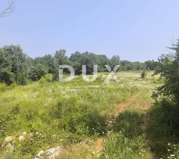 ISTRA, ROVINJ - Poljoprivredno zemljište veće kvadrature - cover