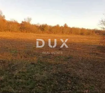 ISTRA, BARBAN- Poljoprivredno zemljište 8647M2 - cover