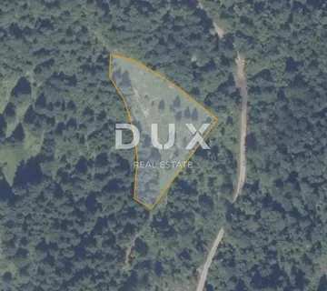 DELNICE - Prostrano građevinsko zemljište na osami - cover