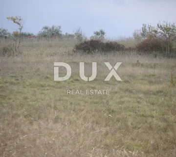 ZADAR, BRIŠEVO - Idealno poljoprivredno zemljište za stvaranje vlastitog maslenika ili voćnjaka! - cover