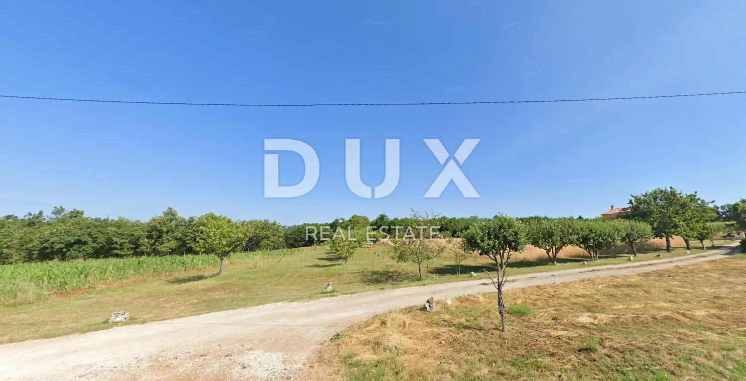 Fotografija