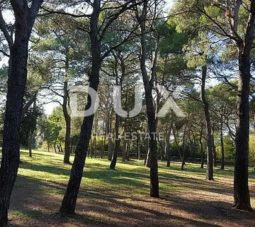 ROVINJ - građevinski teren 1600m2 za hotel / boutique hotel / motel / kamp /apartmane / ville - kuće za iznajmljivanje sa bazenom - cover