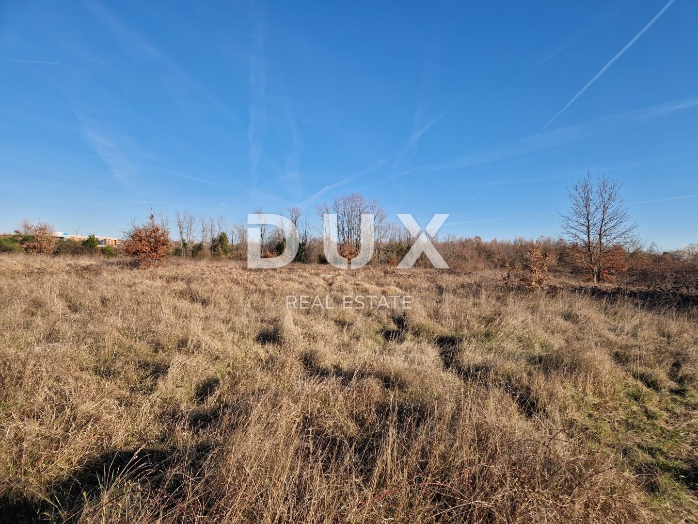 Fotografija