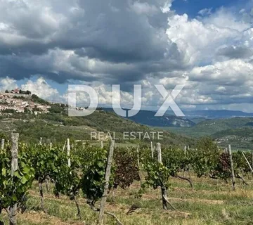 ISTRA, MOTOVUN - Prostrano građevinsko zemljište - cover