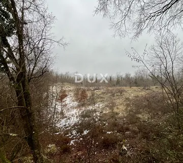 MATULJI, PERMANI - Veće poljoprivredno zemljište uz glavnu cestu - cover