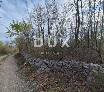 ISTRA, LABIN - Mlada šuma od 4 hektara - cover