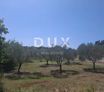 ISTRA, FILIPANA - građevinsko zemljište - cover