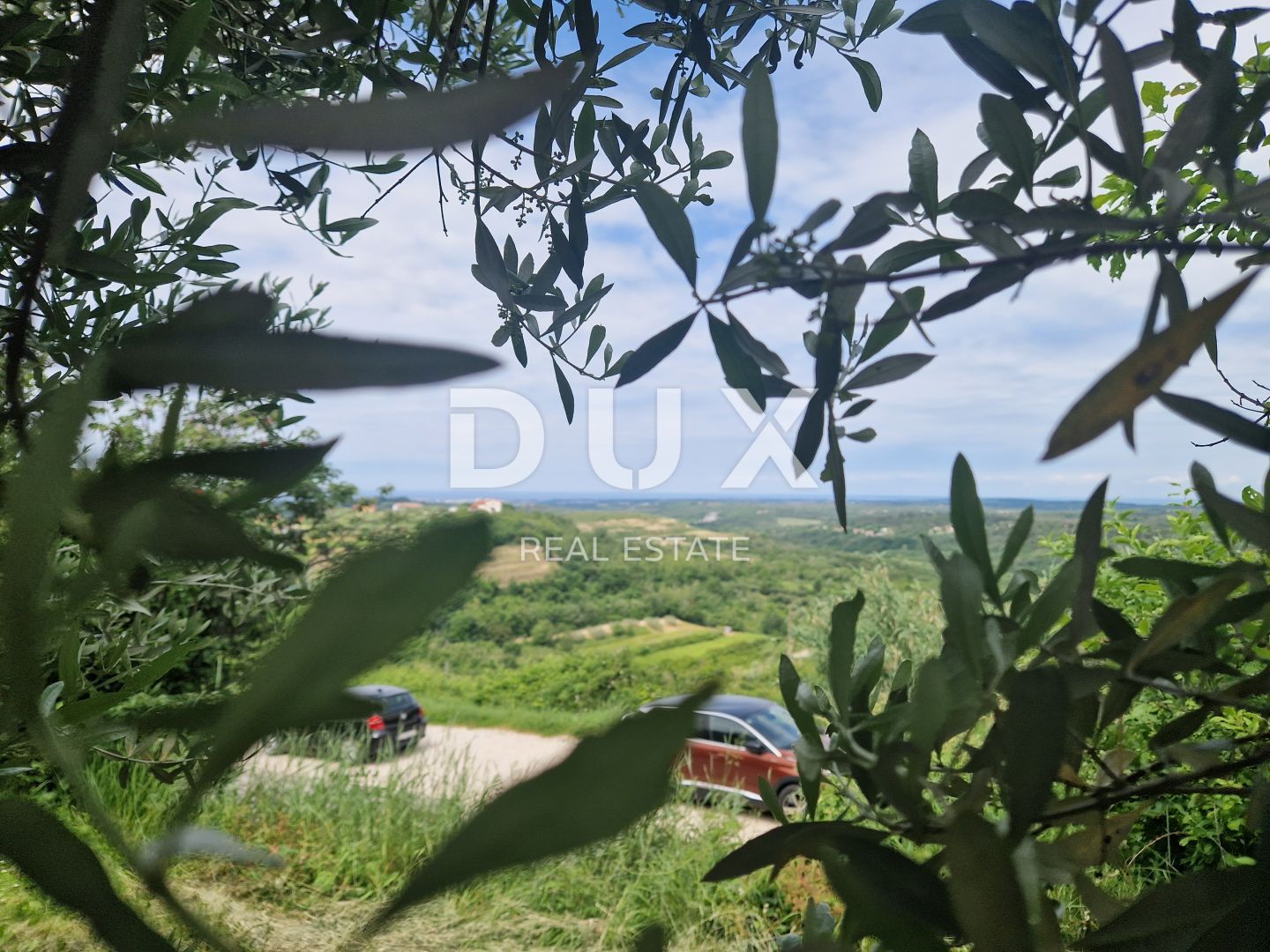 Fotografija