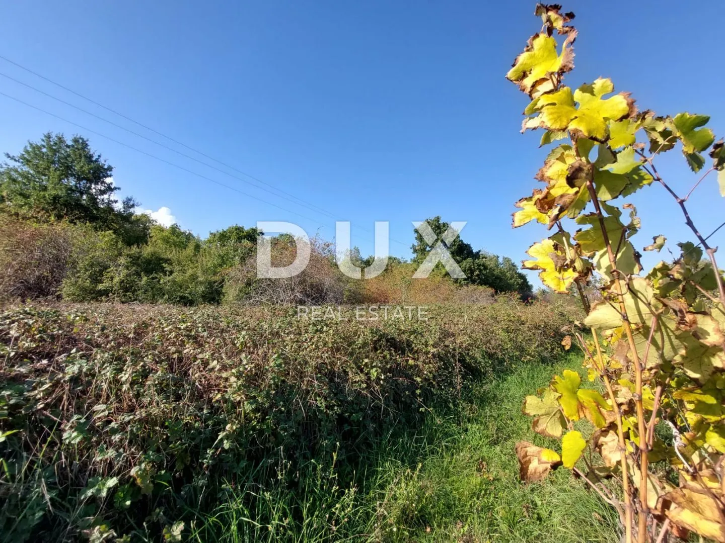 Fotografija