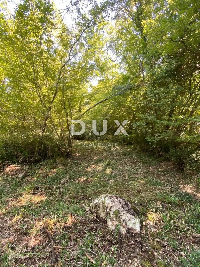 Fotografija