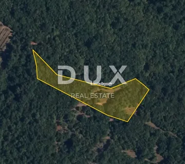 ISTRA, LABIN - Šuma u okolici Labina - cover