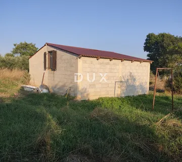 ISTRA, PULA - Prostrano poljoprivredno zemljište sa gospodarskim objektom! - cover