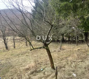 GORSKI KOTAR, MRKOPALJ, ravno zemljište - cover