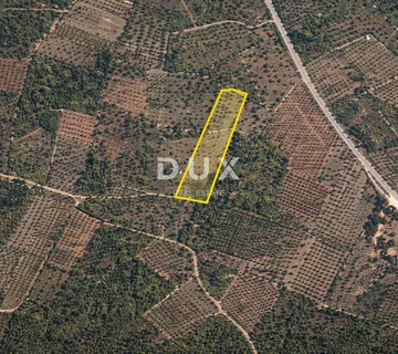 ISTRA, VODNJAN – Poljoprivredno zemljište - cover