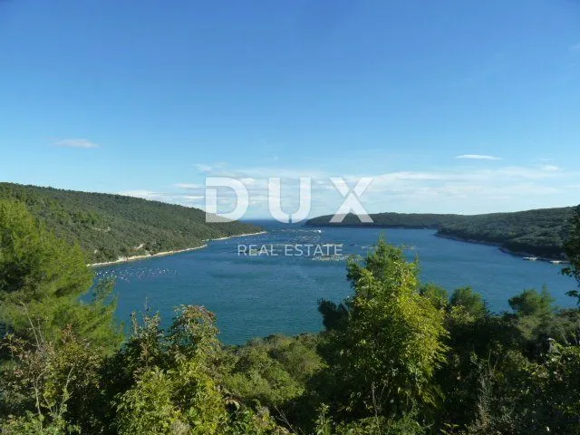 LIŽNJAN, VALTURA - Šuma iznad uvale Budava - cover