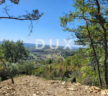 ISTRA, GROŽNJAN - Kompleks građevinskog i poljoprivrednog zemljišta s prekrasnim pogledom - cover