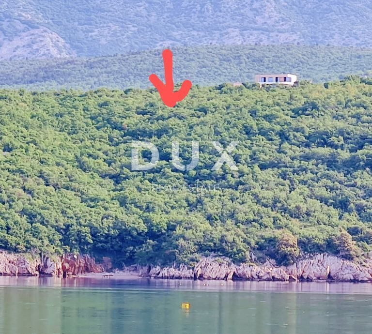 Fotografija
