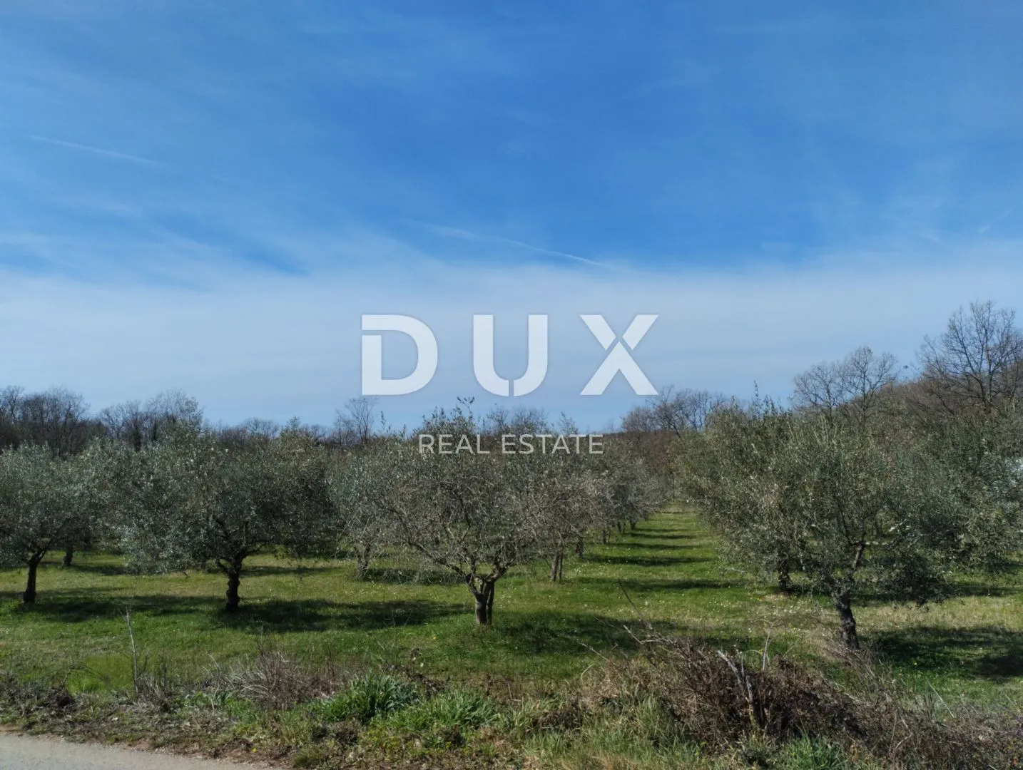 ISTRA, POREČ - Prekrasan maslinik u blizini Poreča - cover