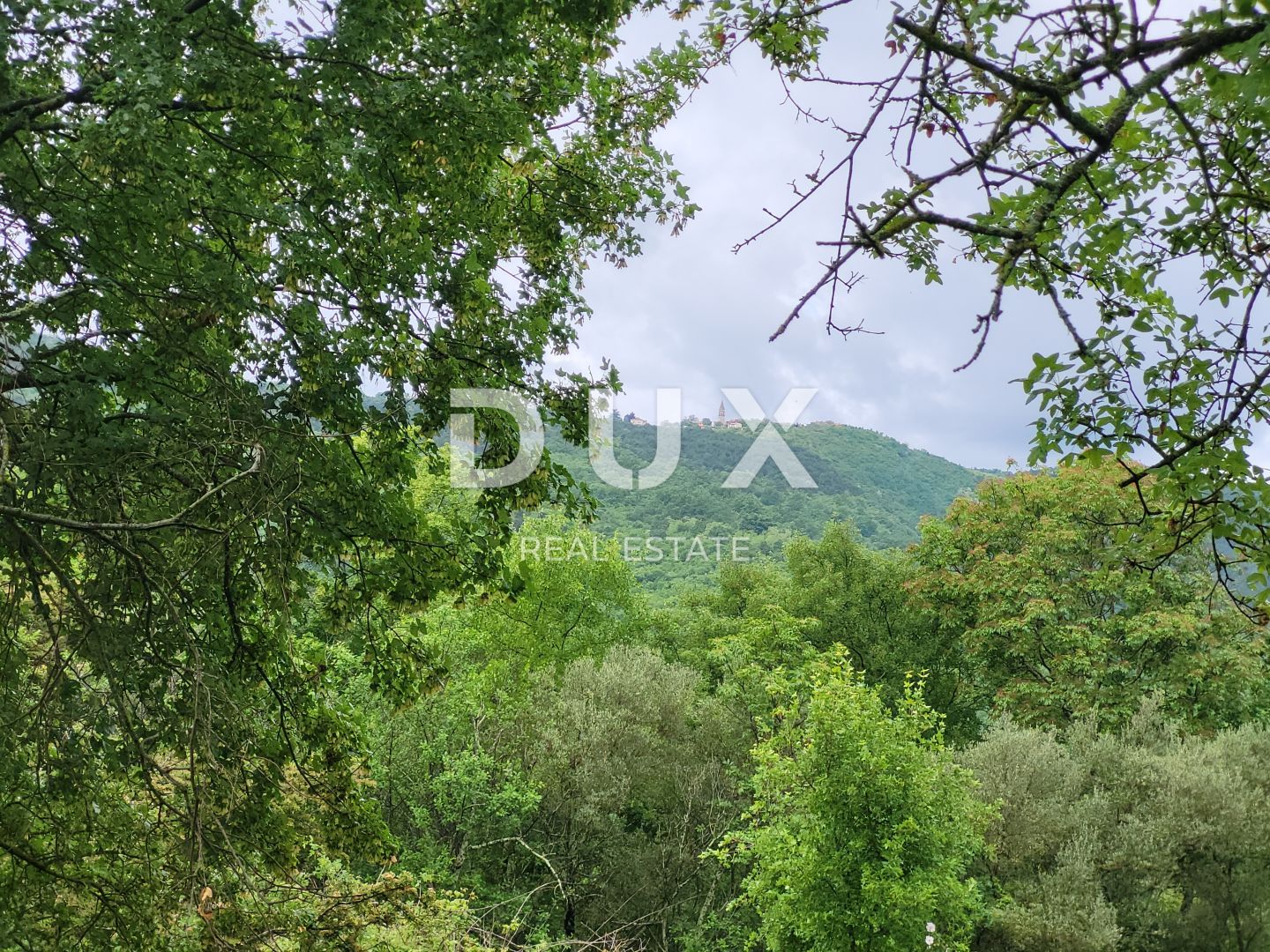Fotografija