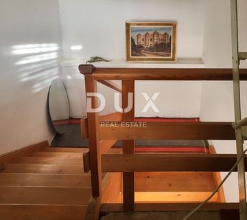 CRIKVENICA, BRIBIR-Starina s potencijalom - cover