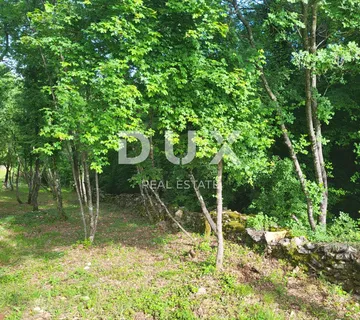 ISTRA, BARBAN - Prostrano građevinsko i poljoprivredno zemljište - cover