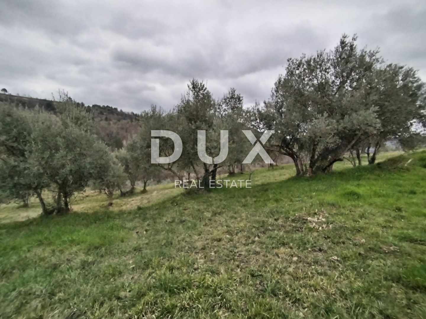 Fotografija