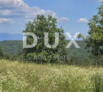 ISTRA, TINJAN - Građevinsko zemljište pogodno za naselje od 6 vila - cover